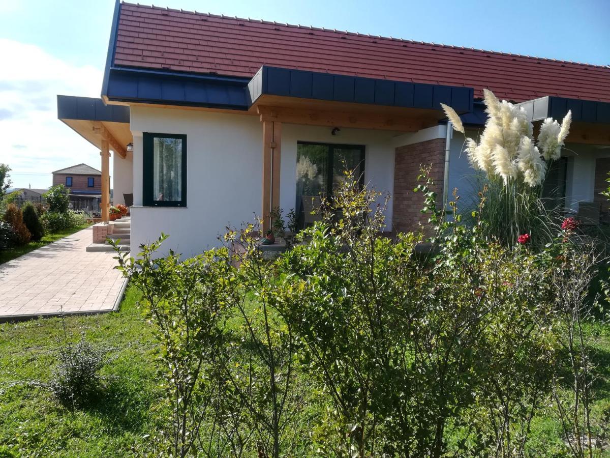 Edina Vendeghaz-Gyenesdias Apartment Bagian luar foto