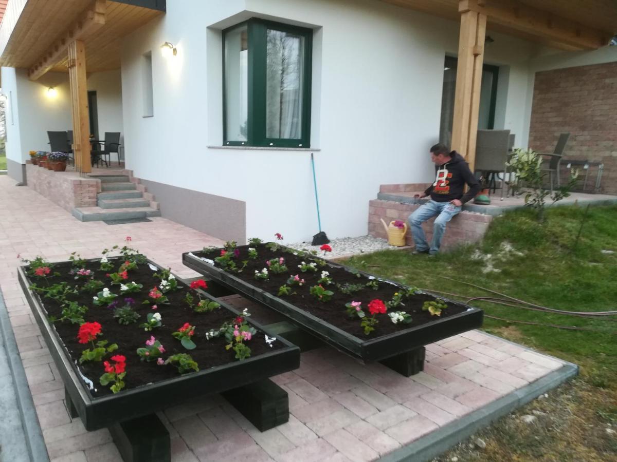 Edina Vendeghaz-Gyenesdias Apartment Bagian luar foto